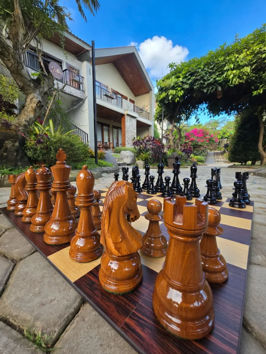 Modern Giant Chess Lifestyle #51