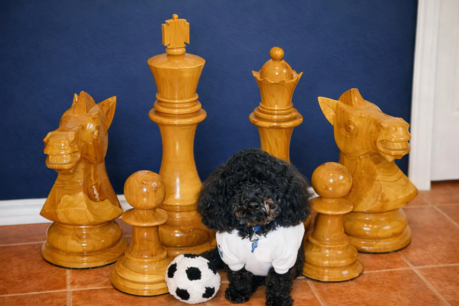 Modern Giant Chess Lifestyle #161