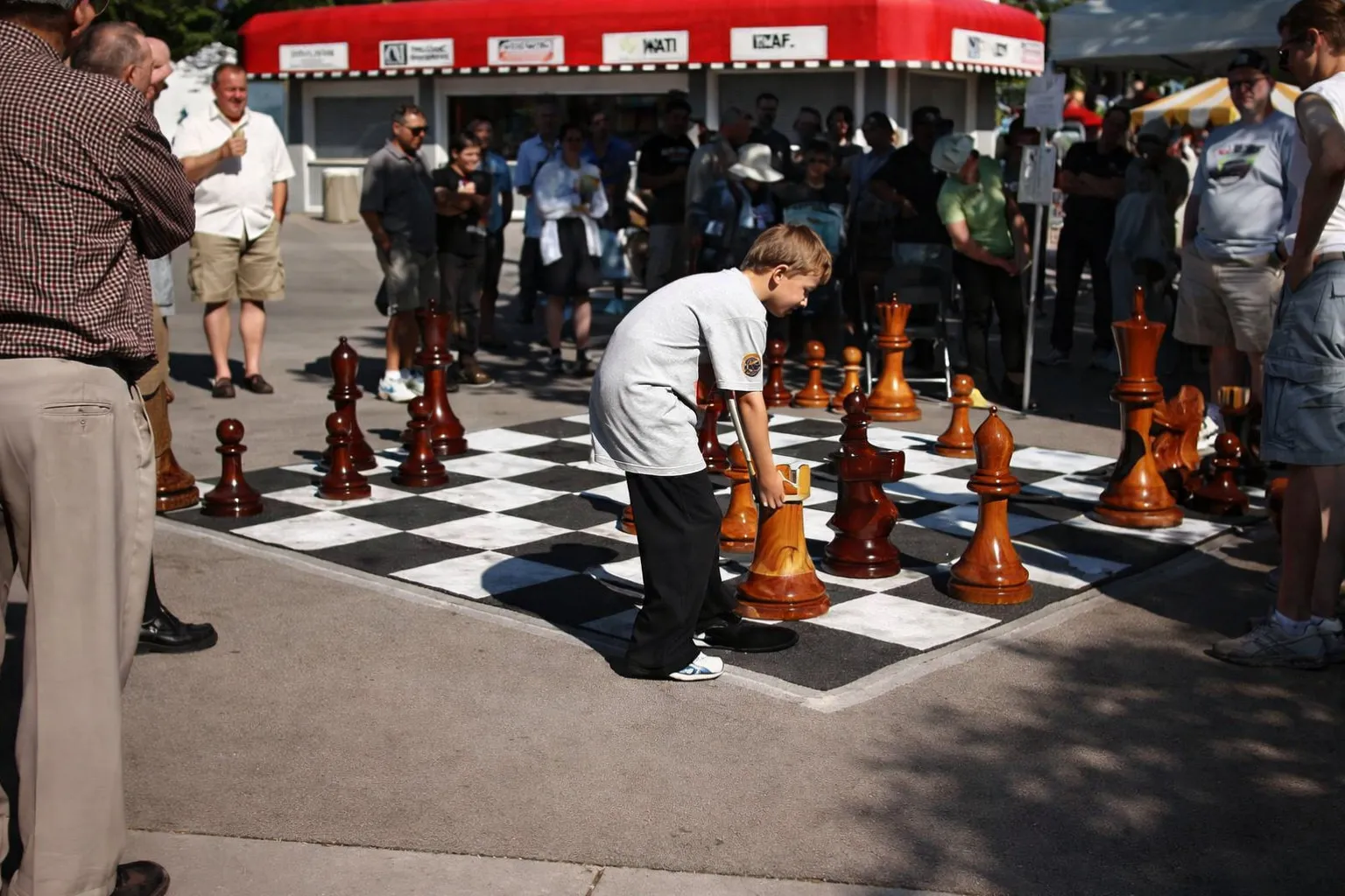Elegant Garden Chess Experience #163