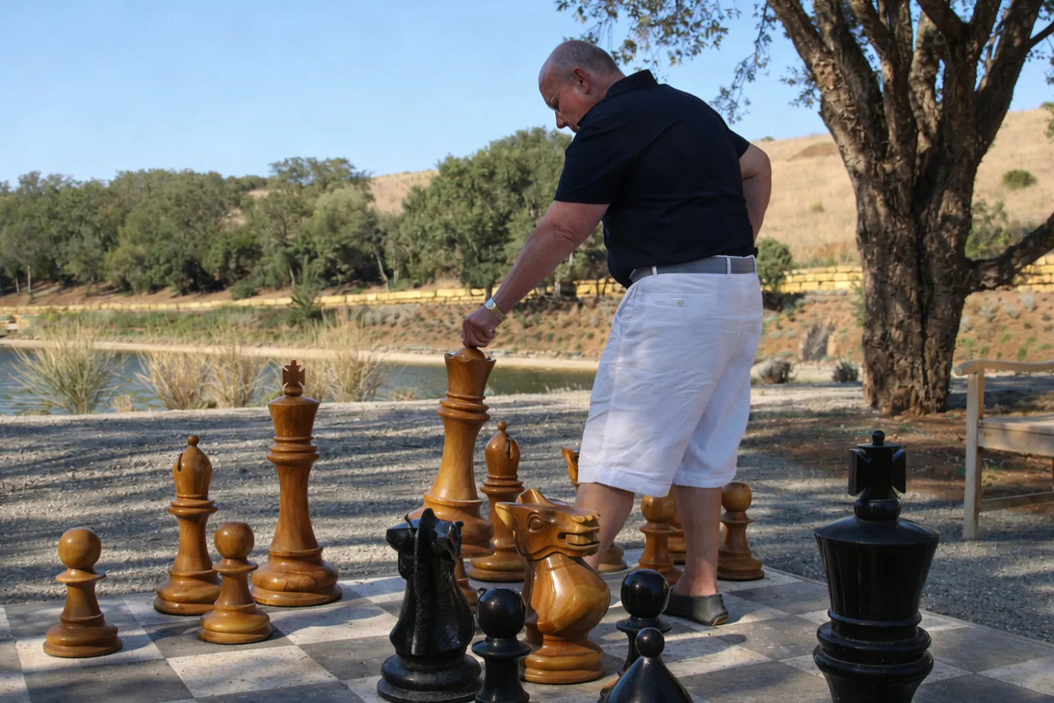 Luxury Outdoor Giant Chess Collection #206