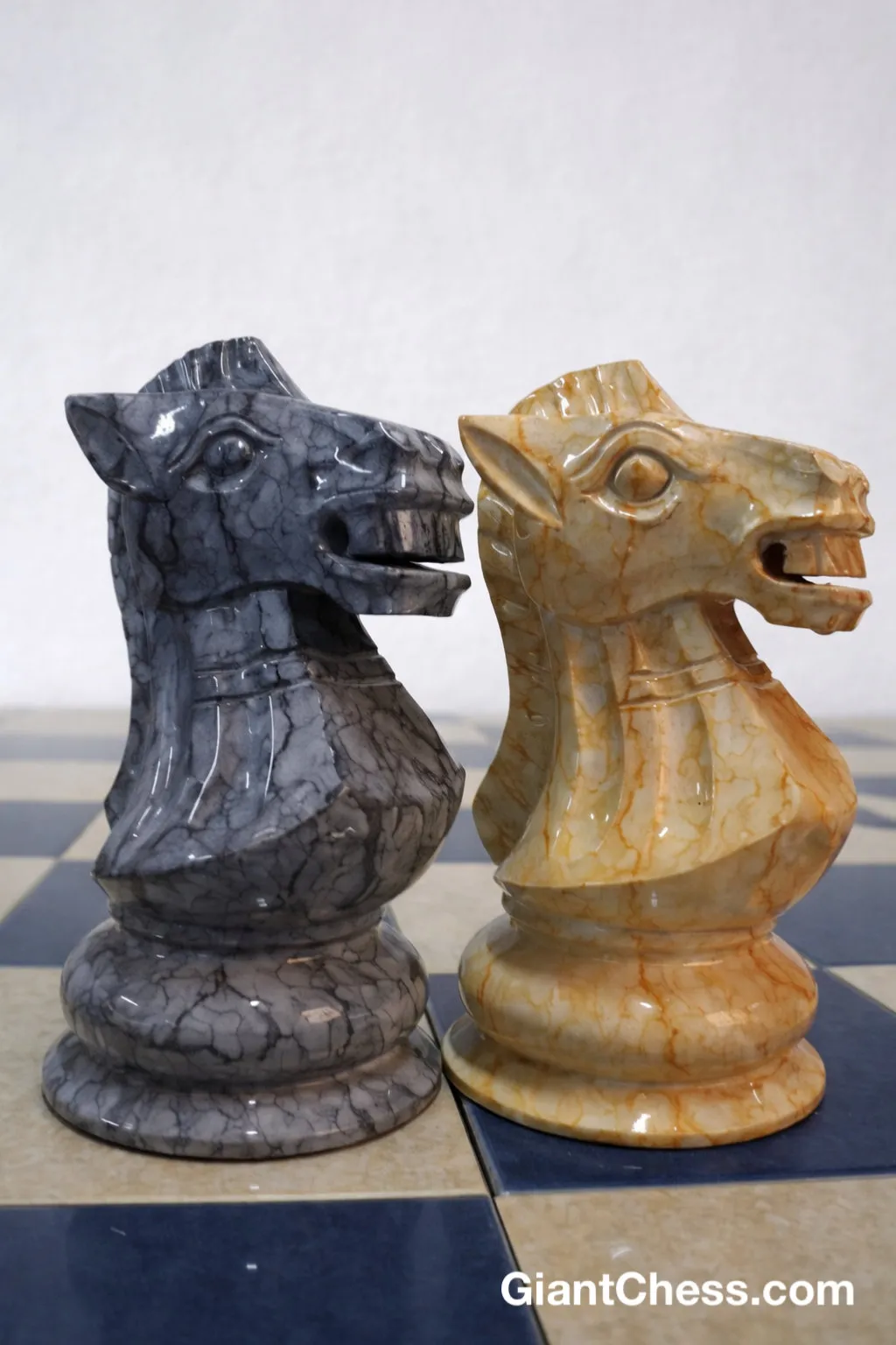 Modern Giant Chess Lifestyle #242