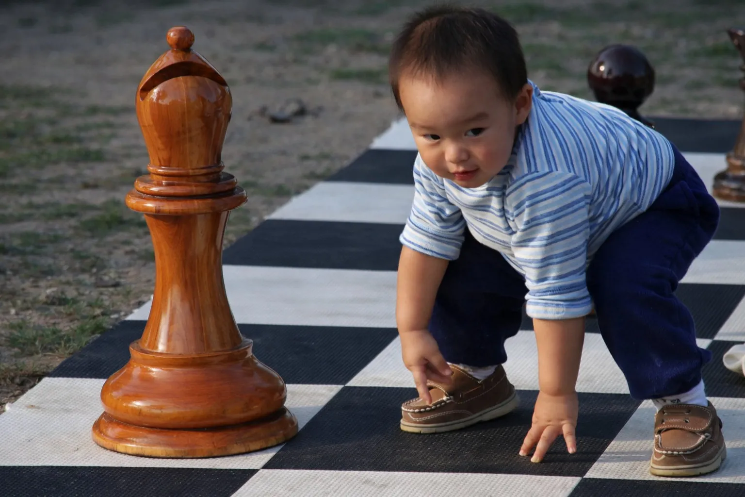 Luxury Outdoor Giant Chess Collection #368
