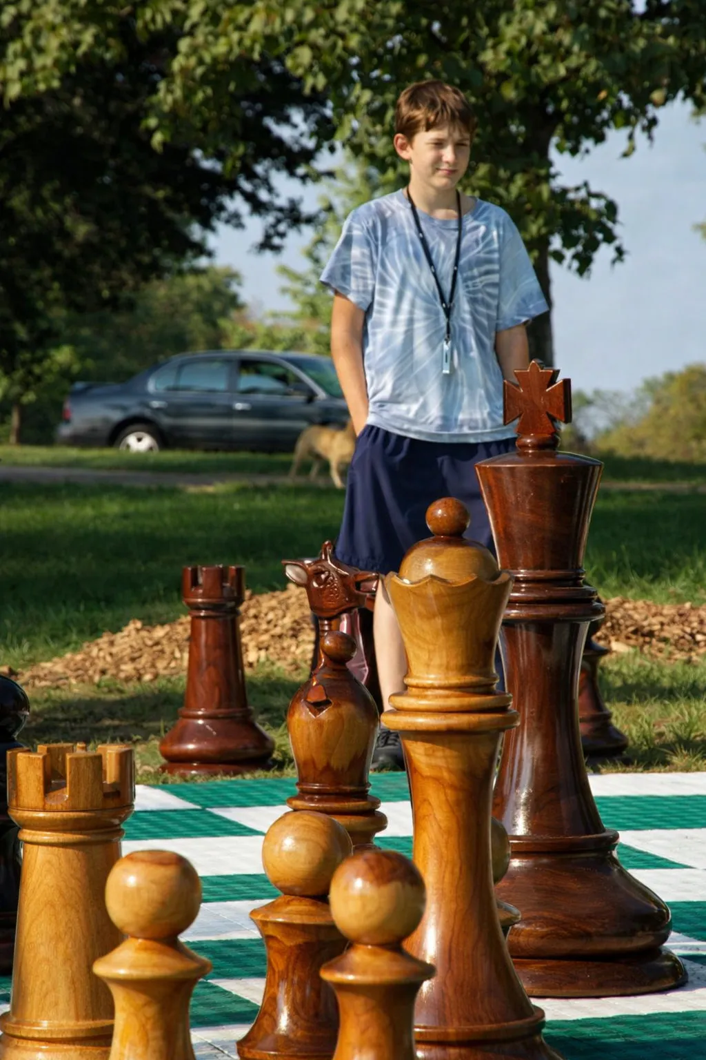 Decorative Giant Chess Installation #370